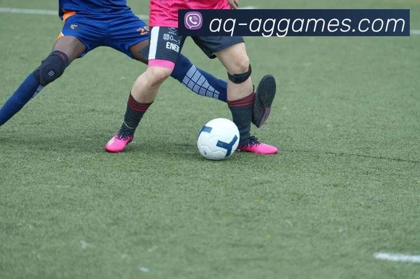 AG百家乐官网平台生态图